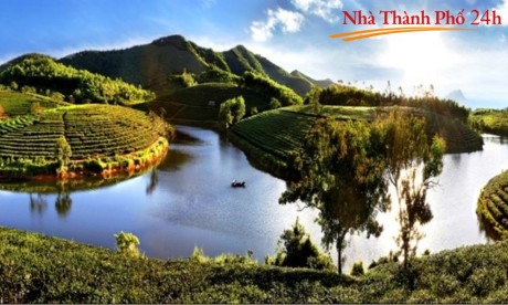 Đại lý bất động sản Nghệ An: thu nhập triệu đô Nhà Thành Phố 24h