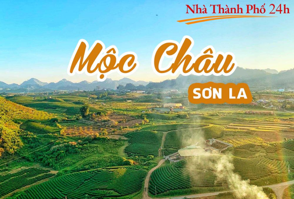 Tuyển dụng Sơn La (6)